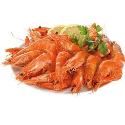 Camarão cozido 20/30