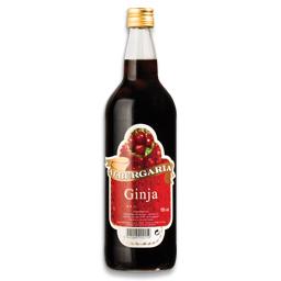 Ginja com frutos
